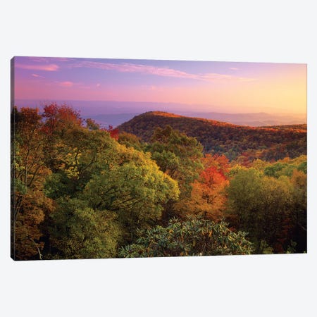 Blue Ridge Mountains With Deciduous Forests In Autumn, North Carolina Canvas Print #TFI108} by Tim Fitzharris Canvas Art Print