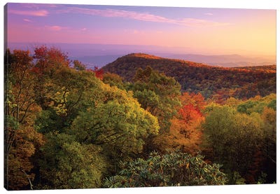 Blue Ridge Mountains With Deciduous Forests In Autumn, North Carolina Canvas Art Print - Appalachian Mountains