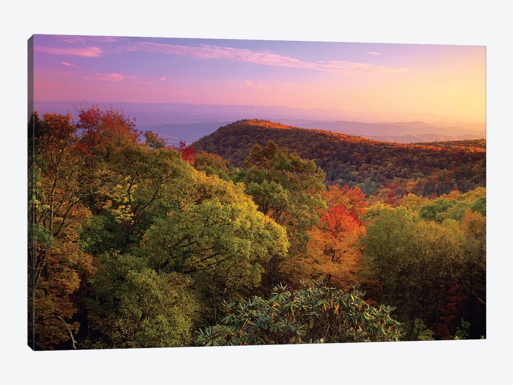 Blue Ridge Mountains With Deciduous Forests In Autumn, North Carolina by Tim Fitzharris 1-piece Art Print