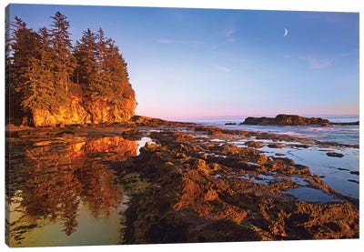 Tidepools Exposed At Low Tide, Botanical Beach, Juan De Fuca Provincial Park, Vancouver Island, British Columbia, Canada Canvas Art Print - British Columbia