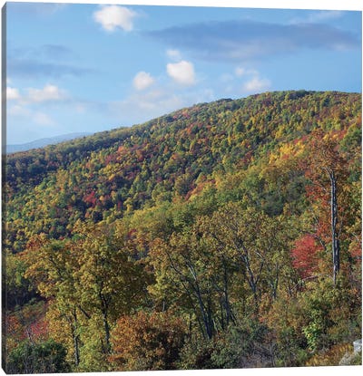 Blue Ridge Range From Moormans River Overlook, Shenandoah National Park, Virginia Canvas Art Print - Appalachian Mountains