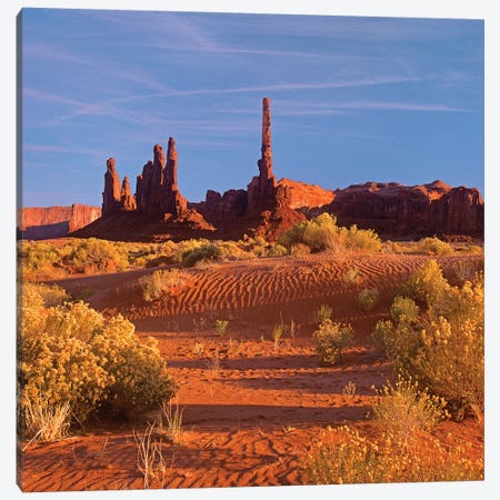 Totem Pole And Yei Bi Chei With Sand Dunes And Shrubs, Monument Valley, Arizona And Utah Border Canvas Print #TFI1103} by Tim Fitzharris Canvas Wall Art