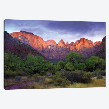 Towers Of The Virgin, Zion National Park, Utah Canvas Print #TFI1108} by Tim Fitzharris Canvas Artwork