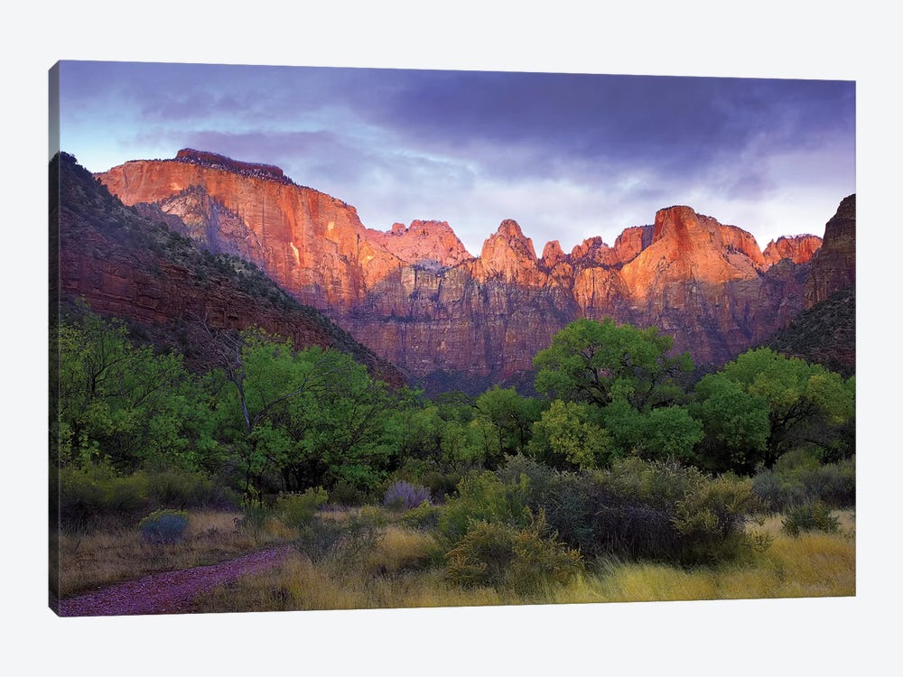 Towers Of The Virgin, Zion National Park, Utah by Tim Fitzharris 1-piece Canvas Artwork