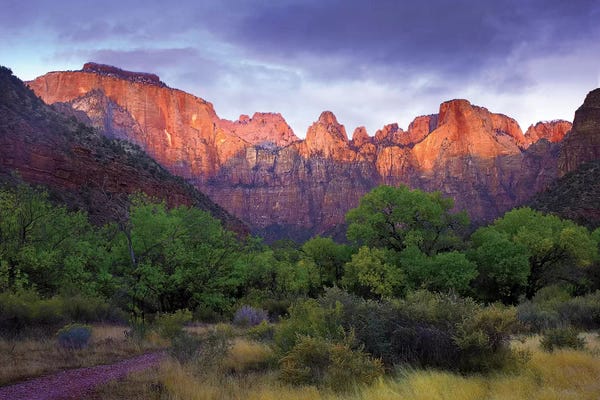 Utah: Towers Of The Virgin, Zion National Park, Utah by Tim Fitzharris