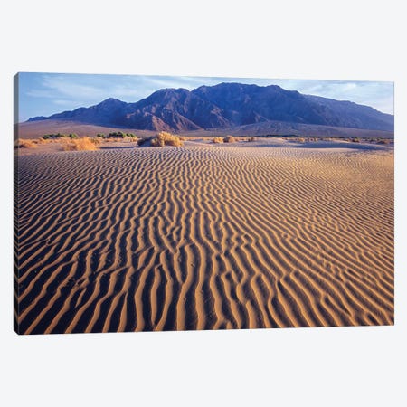 Tucki Mountain And Mesquite Flat Sand Dunes, Death Valley National Park, California Canvas Print #TFI1114} by Tim Fitzharris Canvas Wall Art