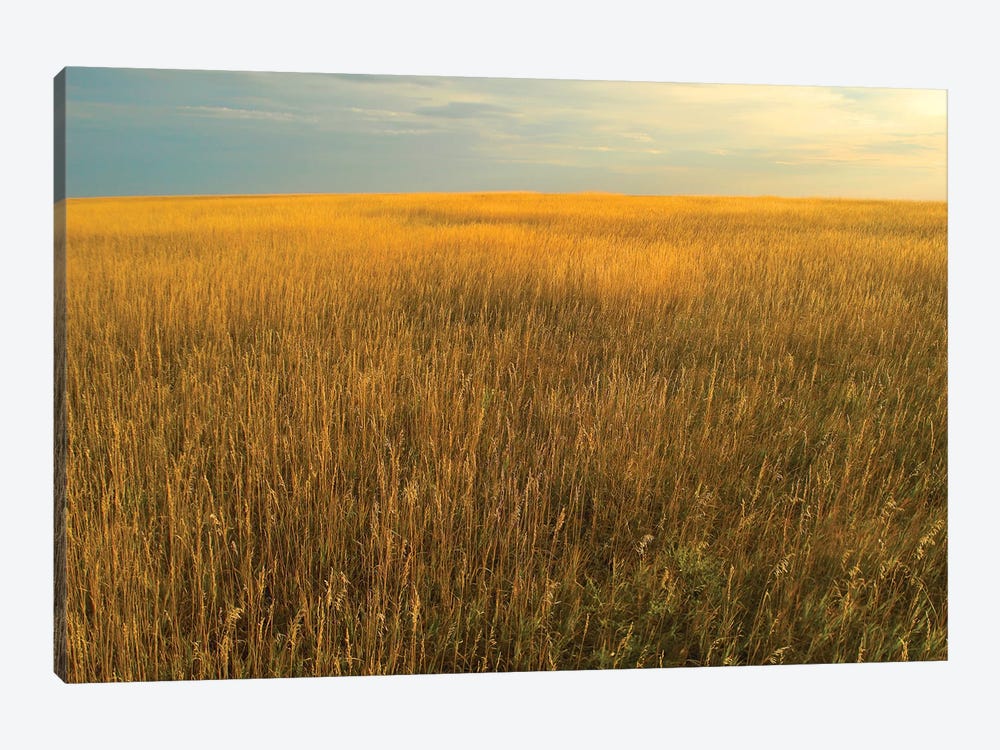 Upper Prairie In Badlands National Park, South Dakota 1-piece Canvas Artwork