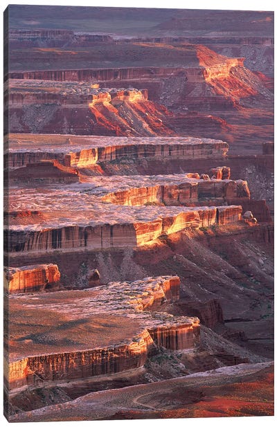 View From Grandview Point, Canyonlands National Park, Utah Canvas Art Print