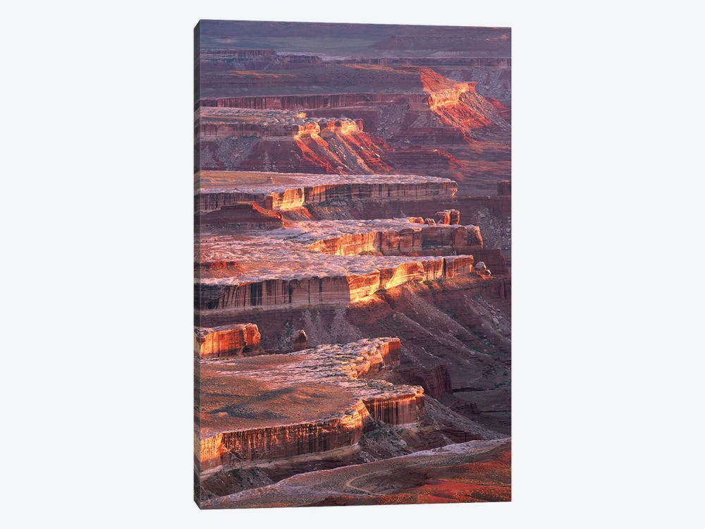 View From Grandview Point, Canyonlands National Park, Utah by Tim Fitzharris 1-piece Canvas Wall Art