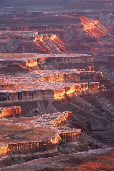 Canyonlands National Park: View From Grandview Point, Canyonlands National Park, Utah by Tim Fitzharris