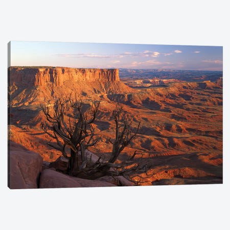 View From Green River Overlook, Canyonlands National Park, Utah I Canvas Print #TFI1120} by Tim Fitzharris Canvas Wall Art