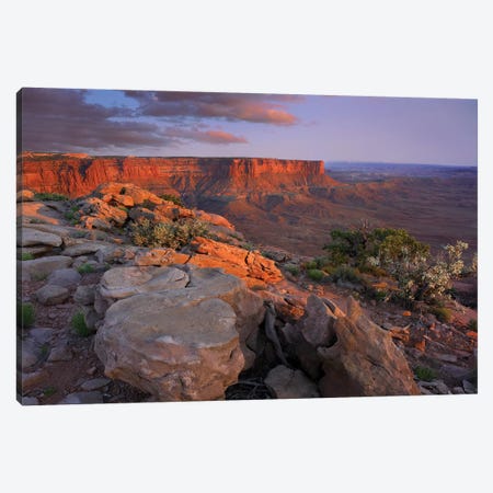 View From Green River Overlook, Canyonlands National Park, Utah II Canvas Print #TFI1121} by Tim Fitzharris Canvas Artwork