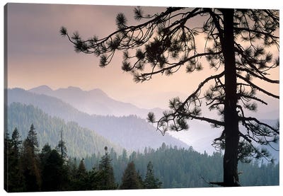 View Over Foothills To The West From Kings Canyon National Park, California Canvas Art Print - Spa