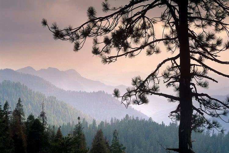 View Over Foothills To The West From Kings Canyon National Park, California