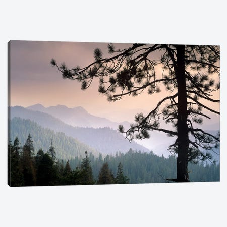 View Over Foothills To The West From Kings Canyon National Park, California Canvas Print #TFI1123} by Tim Fitzharris Canvas Artwork