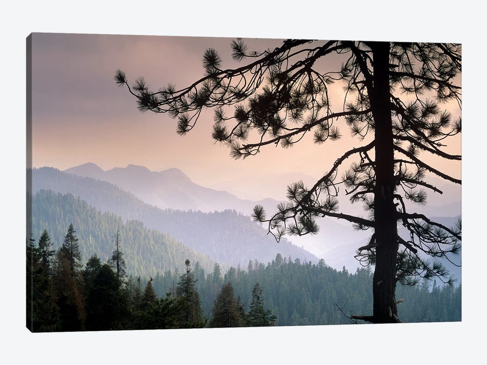 View Over Foothills To The West From Kings Canyon National Park, California by Tim Fitzharris 1-piece Canvas Print
