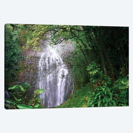 Waterfall Along Hana Coast, Maui, Hawaii Canvas Print #TFI1130} by Tim Fitzharris Canvas Print