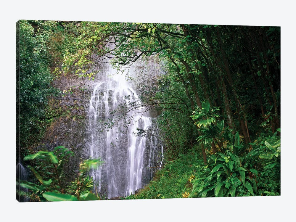 Waterfall Along Hana Coast, Maui, Hawaii by Tim Fitzharris 1-piece Art Print
