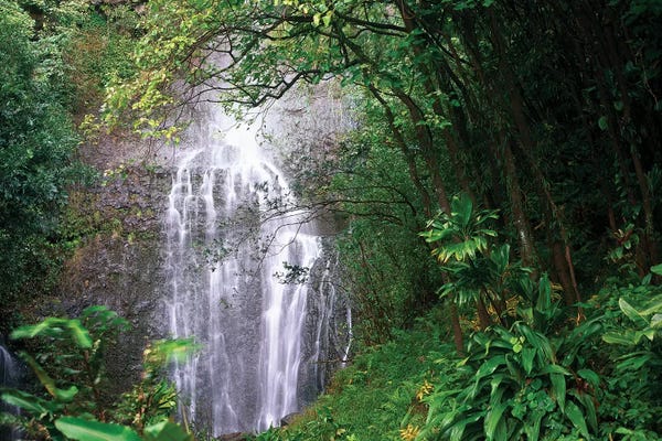 Maui: Waterfall Along Hana Coast, Maui, Hawaii by Tim Fitzharris