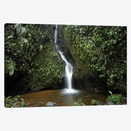 Waterfall In The Milpe Bird Sanctuary, Mindo Cloud Forest, Ecuador Canvas Print #TFI1131} by Tim Fitzharris Canvas Print