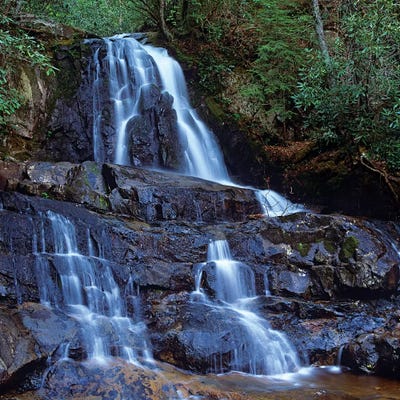 Waterfall, Laurel Creek, Great Smoky Mountains National Park, Tennessee by Tim Fitzharris art print