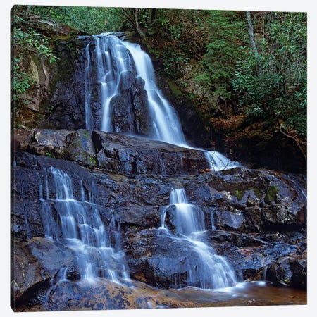 Waterfall, Laurel Creek, Great Smoky Mountains National Park, Tennessee Canvas Print #TFI1132} by Tim Fitzharris Canvas Print