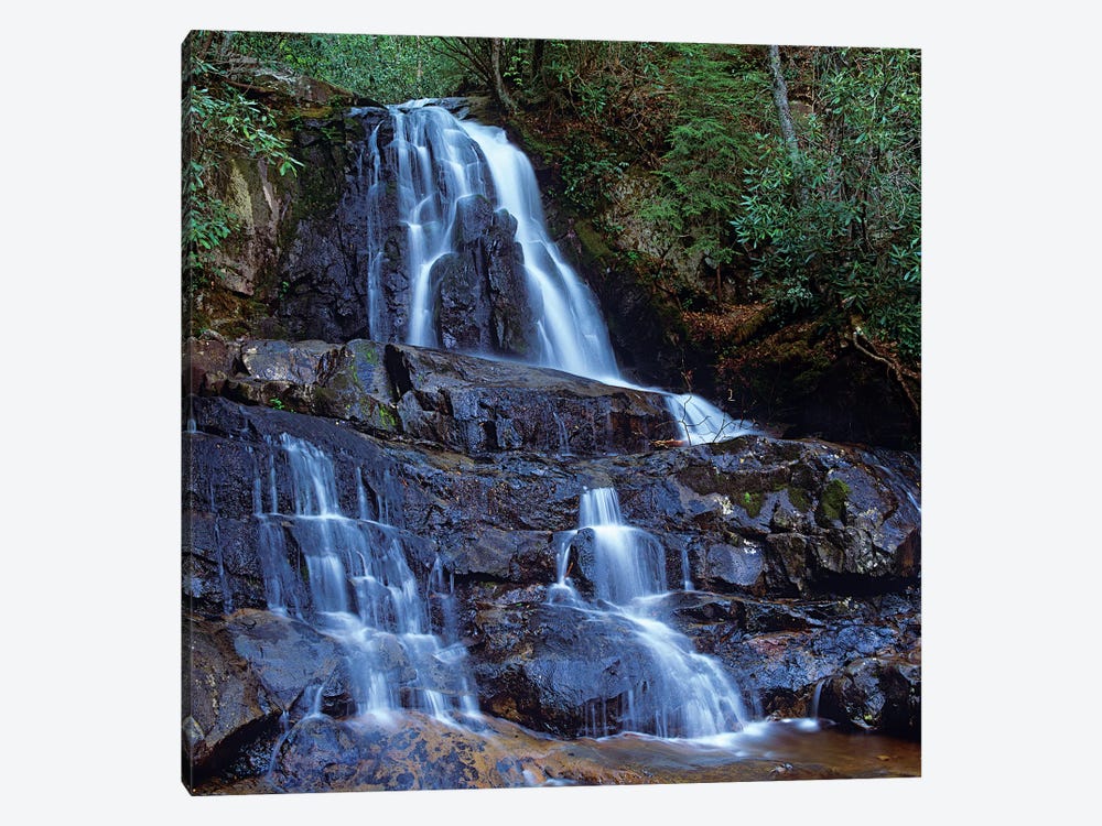 Waterfall, Laurel Creek, Great Smoky Mountains National Park, Tennessee by Tim Fitzharris 1-piece Art Print