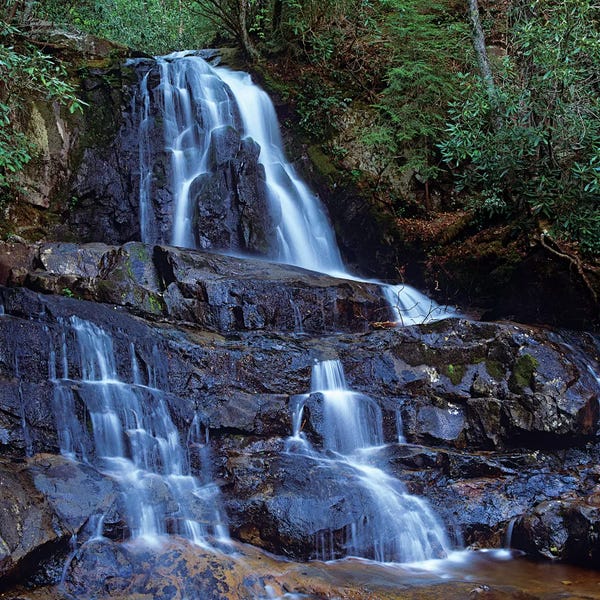 Great Smoky Mountains National Park: Waterfall, Laurel Creek, Great Smoky Mountains National Park, Tennessee by Tim Fitzharris