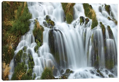 Waterfall, Niagara Springs, Thousand Springs State Park, Idaho Canvas Art Print - Idaho