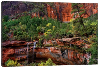 Waterfalls At Emerald Pools, Zion National Park, Utah Canvas Art Print - Utah