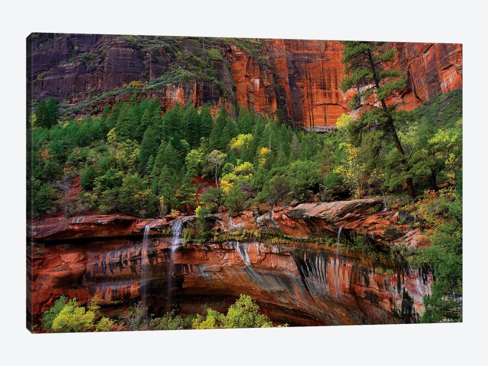 Waterfalls At Emerald Pools, Zion National Park, Utah by Tim Fitzharris 1-piece Canvas Wall Art