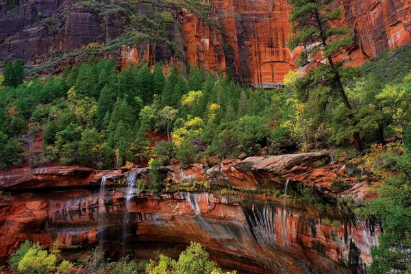 Tim Fitzharris: Waterfalls At Emerald Pools, Zion National Park, Utah by Tim Fitzharris