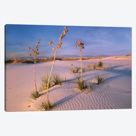White Sands National Monument, New Mexico II Canvas Print #TFI1152} by Tim Fitzharris Art Print
