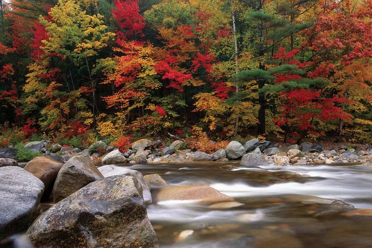 Wild River In Eastern Hardwood Forest, White Mountains National Forest, Maine by Tim Fitzharris wall art