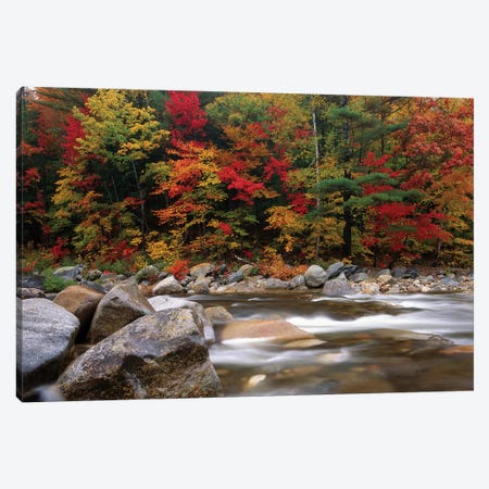Wild River In Eastern Hardwood Forest, White Mountains National Forest, Maine Canvas Print #TFI1159} by Tim Fitzharris Art Print