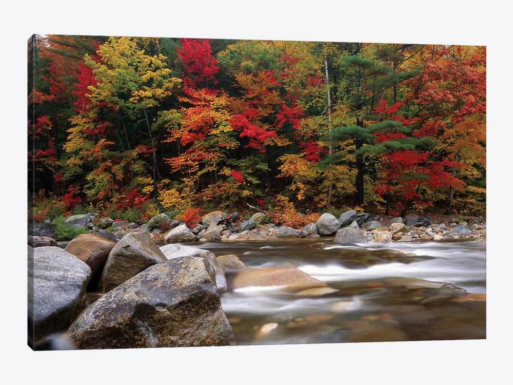 Wild River In Eastern Hardwood Forest, White Mountains National Forest, Maine by Tim Fitzharris 1-piece Canvas Wall Art