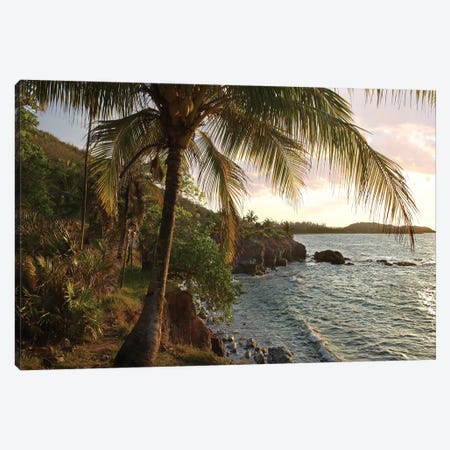 Wilkes Point At Sunset With Palm Trees, Roatan Island, Honduras Canvas Print #TFI1165} by Tim Fitzharris Art Print
