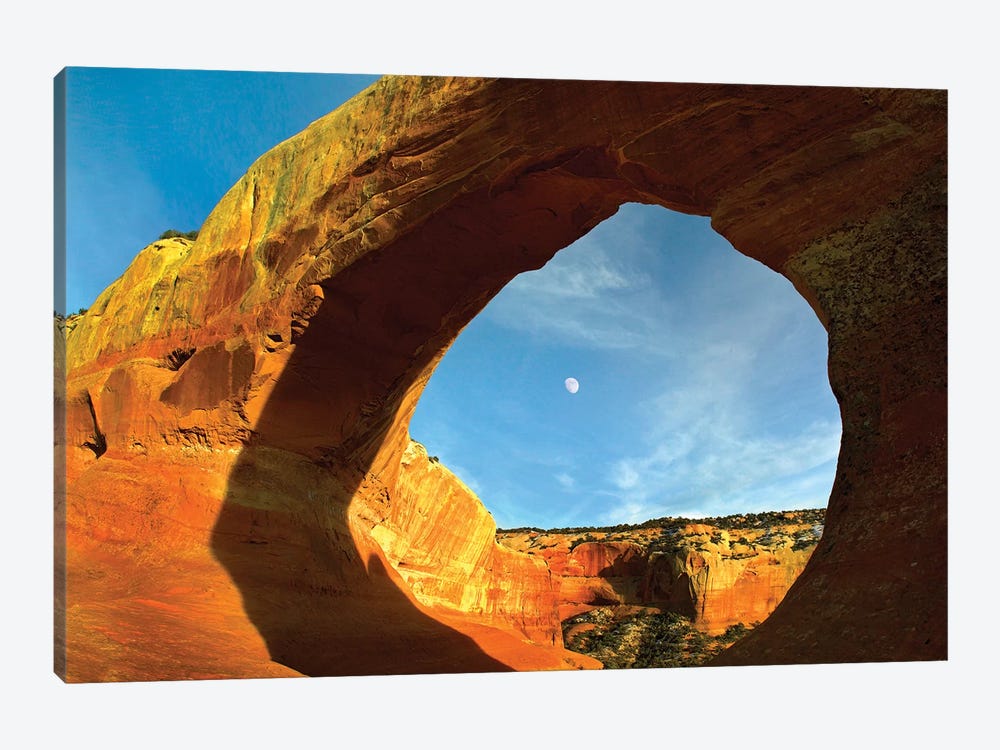 Wilson Arch With A Span Of 91 Feet And Height Of 46 Feet, Off Of Highway 191, Made Of Entrada Sandstone, Utah I by Tim Fitzharris 1-piece Canvas Artwork