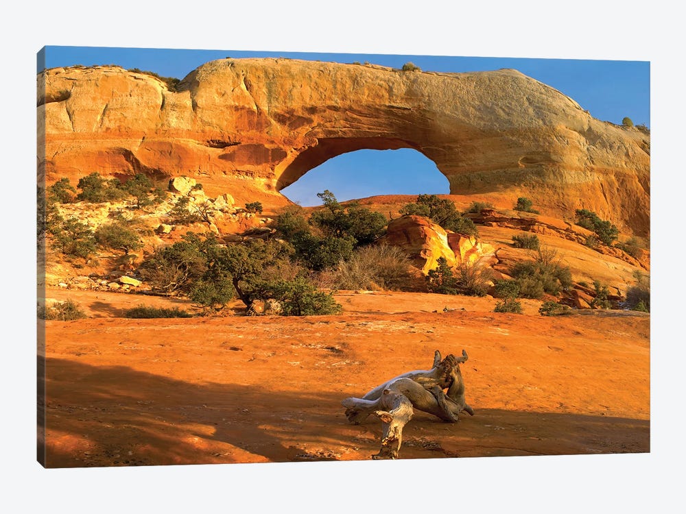 Wilson Arch With A Span Of 91 Feet And Height Of 46 Feet, Off Of Highway 191, Made Of Entrada Sandstone, Utah II 1-piece Art Print