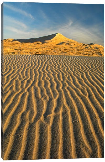 Wind Ripples In Kelso Dunes, Mojave National Preserve, California Canvas Art Print
