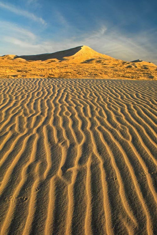 Wind Ripples In Kelso Dunes, Mojave National Preserve, California