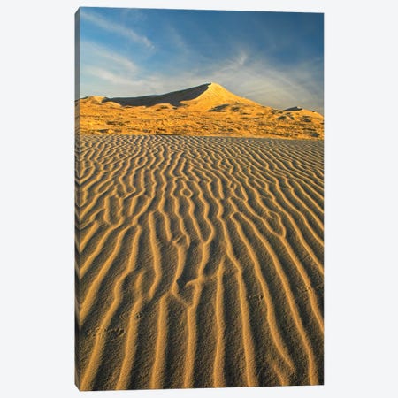 Wind Ripples In Kelso Dunes, Mojave National Preserve, California Canvas Print #TFI1168} by Tim Fitzharris Canvas Artwork