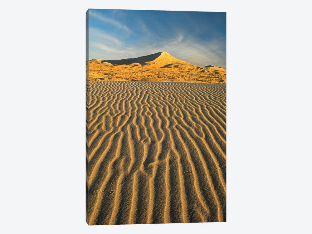 Wind Ripples In Kelso Dunes, Mojave National Preserve, California by Tim Fitzharris 1-piece Canvas Wall Art