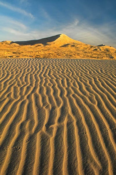 Wind Ripples In Kelso Dunes, Mojave National Preserve, California