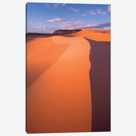 Wind Ripples In Sand Dunes Beneath Sandstone Cliffs, Coral Pink Sand Dunes State Park, Utah II Canvas Print #TFI1170} by Tim Fitzharris Art Print