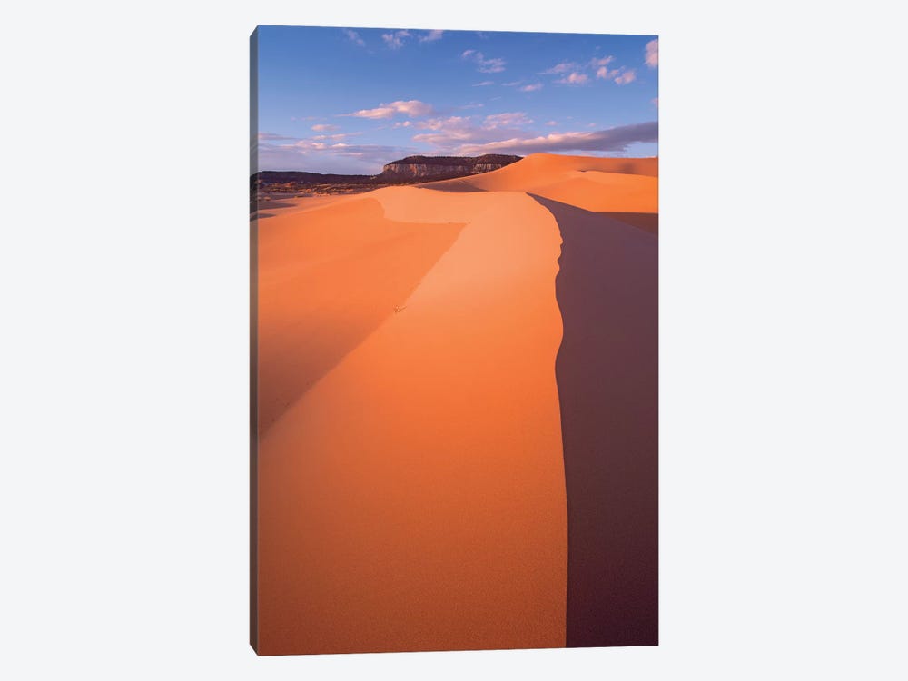 Wind Ripples In Sand Dunes Beneath Sandstone Cliffs, Coral Pink Sand Dunes State Park, Utah II by Tim Fitzharris 1-piece Canvas Art Print