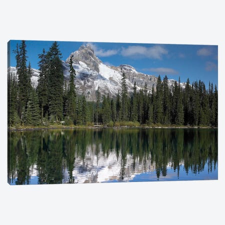 Wiwaxy Peaks And Cathedral Mountain At Lake O'Hara, Yoho National Park, British Columbia, Canada I Canvas Print #TFI1175} by Tim Fitzharris Canvas Artwork