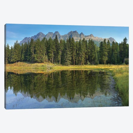 Yellowhead Mountain And Yellowhead Lake With Boreal Forest, Mount Robson Provinvial Park, British Columbia, Canada Canvas Print #TFI1188} by Tim Fitzharris Canvas Wall Art