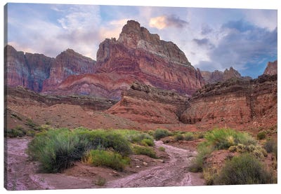 Desert And Cliffs, Vermilion Cliffs National Monument, Arizona Canvas Art Print - Desert Landscape Photography