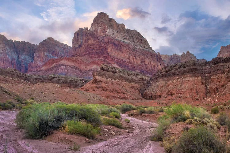 Desert And Cliffs, Vermilion Cliffs National Monument, Arizona